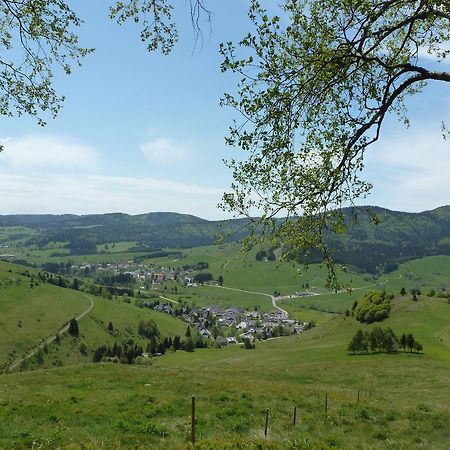 Apartamento Wohnpark Schwarzwaldblick Bernau Exterior foto