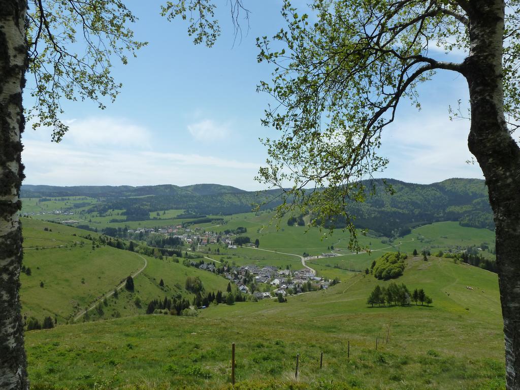 Apartamento Wohnpark Schwarzwaldblick Bernau Exterior foto